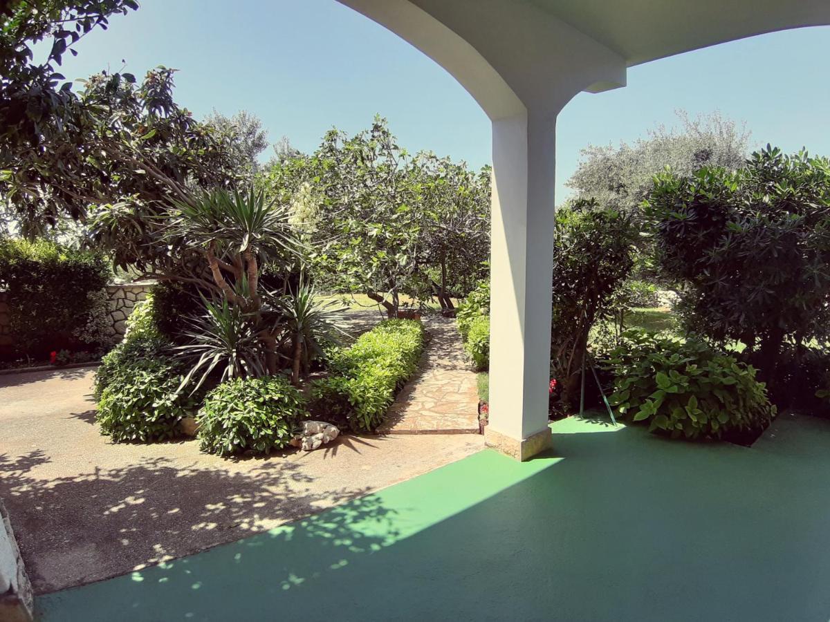 F• R• I• E• N• D• S• Bed & Breakfast Novalja Exterior foto
